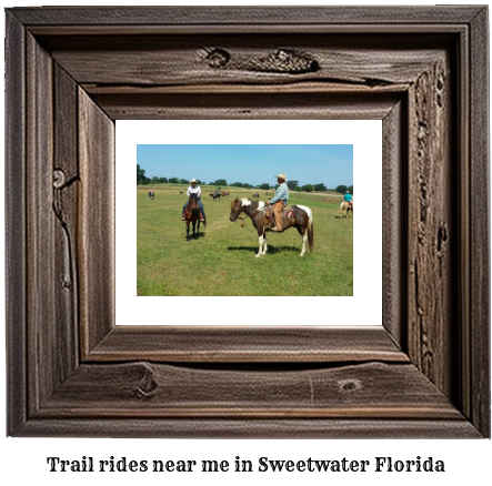 trail rides near me in Sweetwater, Florida